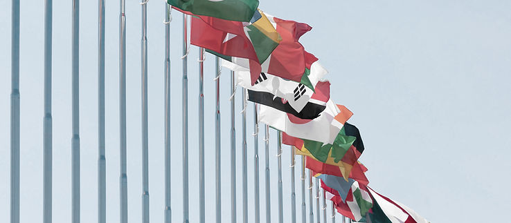 International flags display